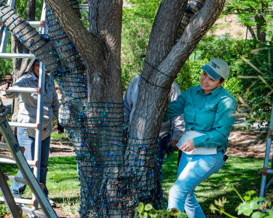 How a Local Gardening Pro is Getting Stuff Done Each Day