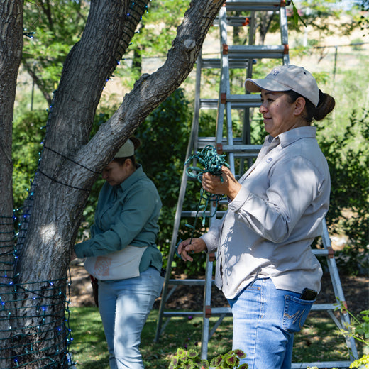The Joy of a Hard Day’s Work – Meet Lorena