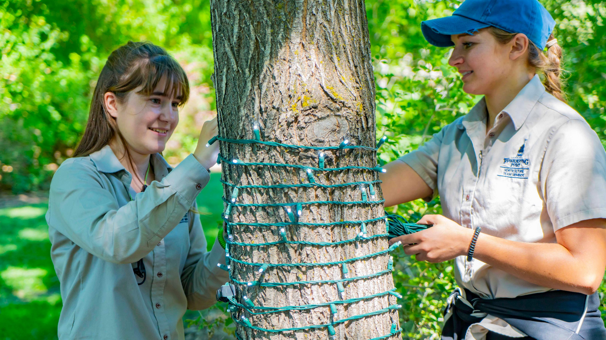 How a Team of Gardeners Maintains Ashton Gardens in Utah