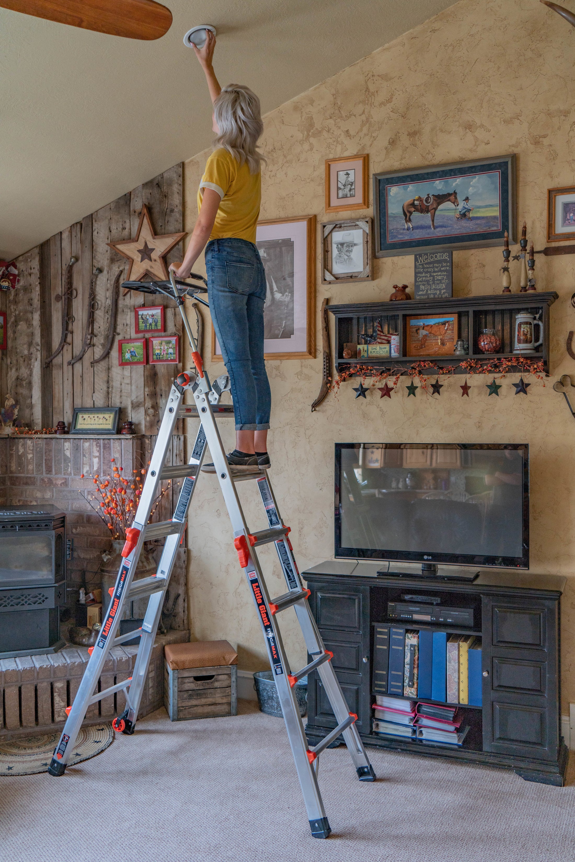 MegaMax Factory Refurbished Little Giant Ladder Systems