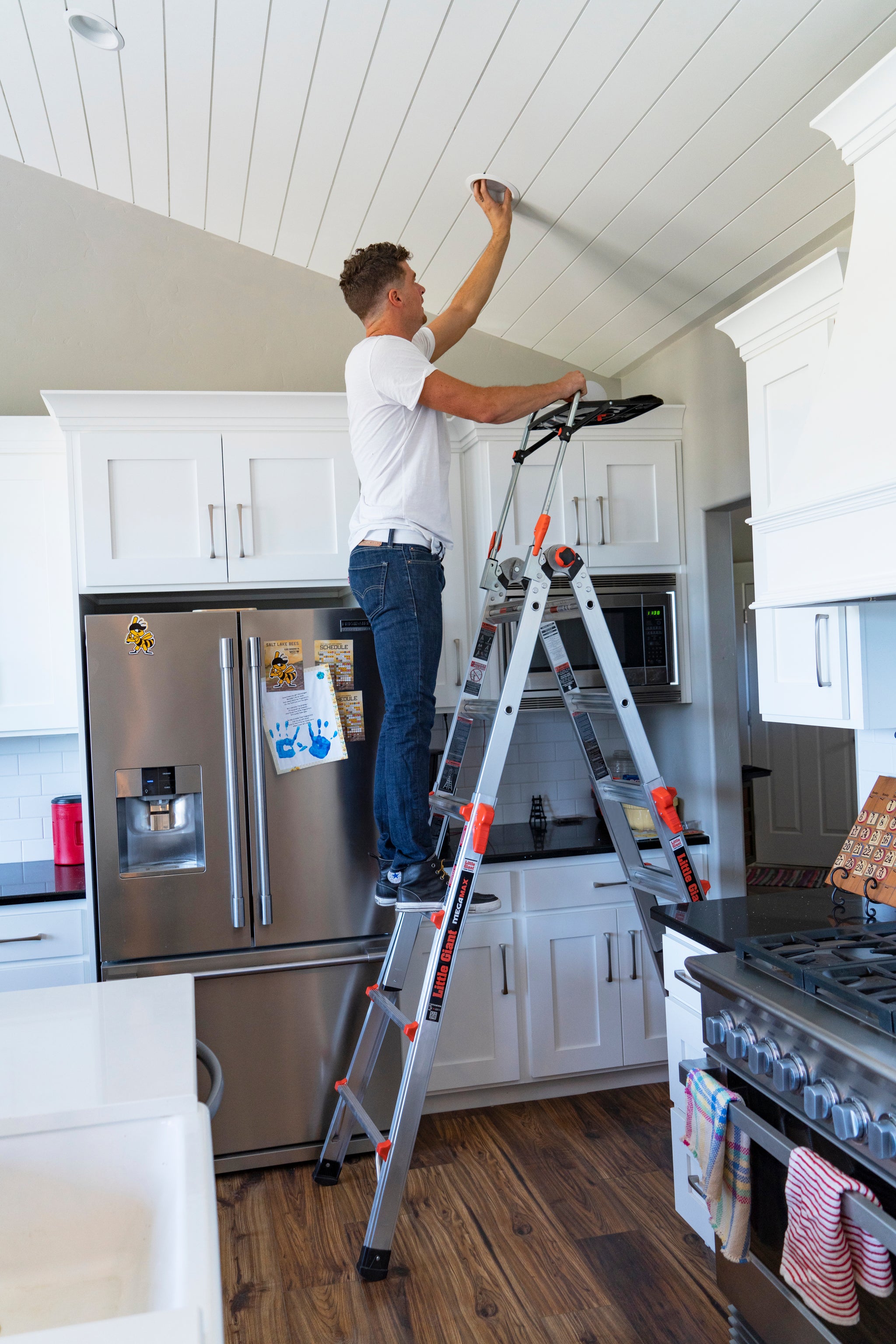 MegaMax | Factory Refurbished – Little Giant Ladder Systems