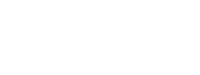 American Ladders and Scaffolds, Inc logo white