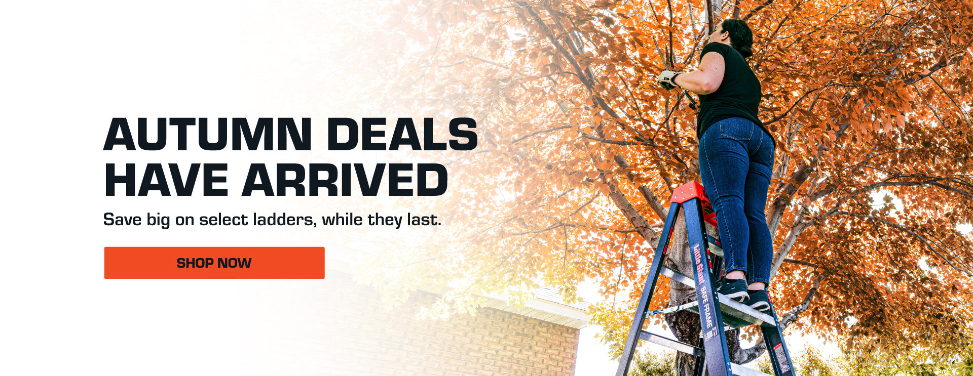 Person on a ladder against an autumn tree with promotional text for Little Giant ladder deals.