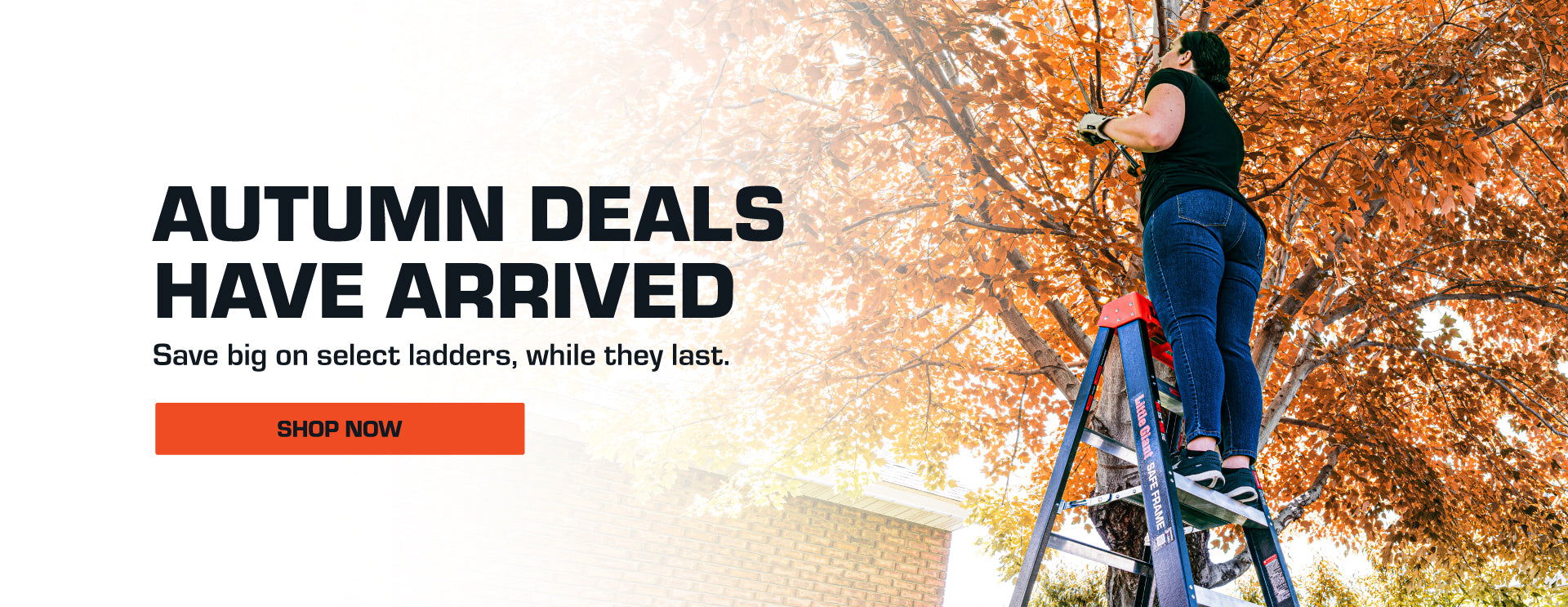 Person on a ladder against an autumn tree with promotional text for Little Giant ladder deals.