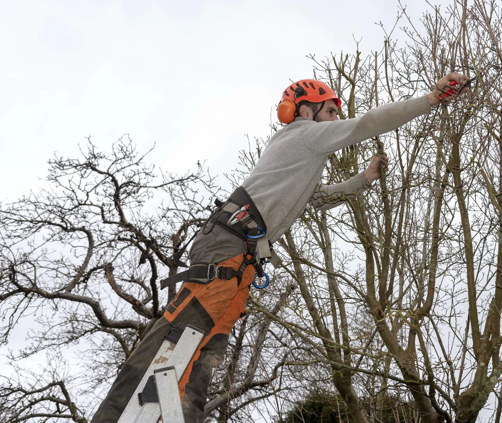 a man on a ladder trimming a tree 