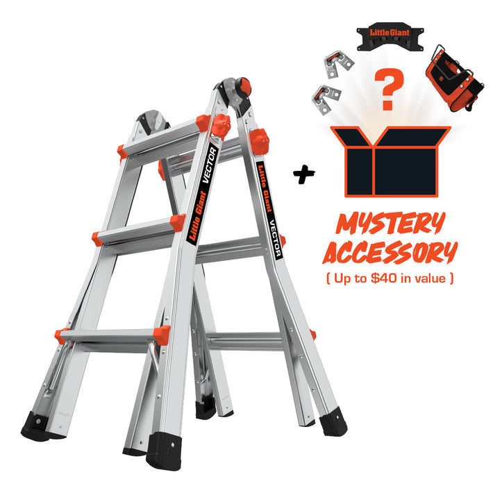 Vector + Mystery Accessory