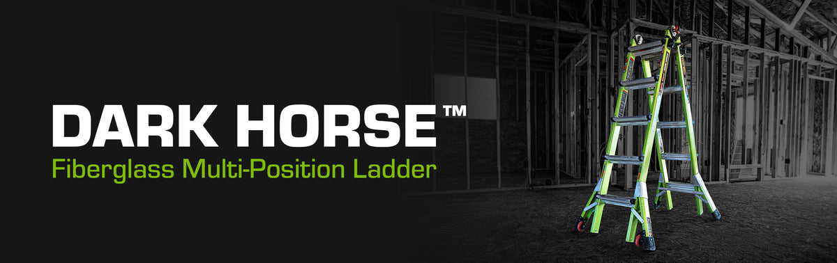 Dark Horse 2.0