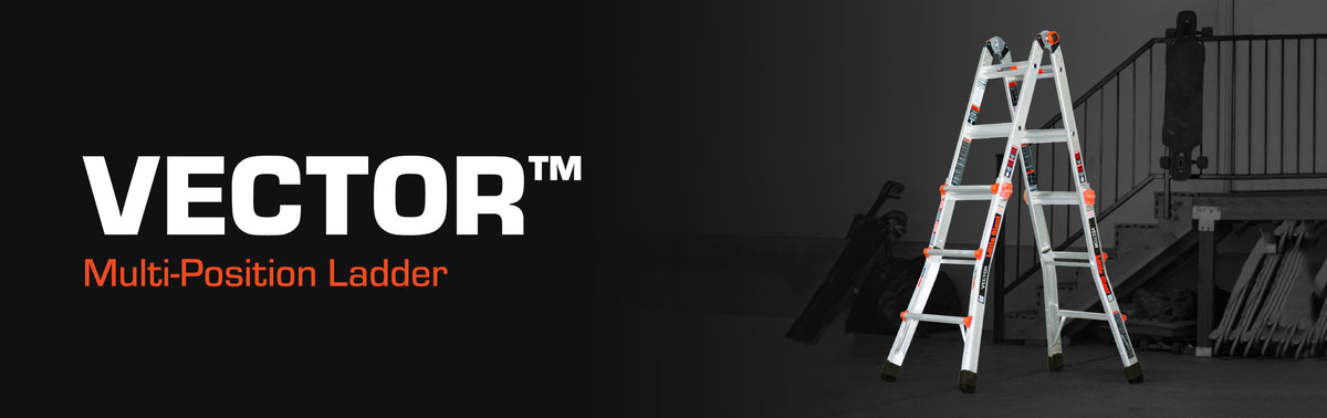 Vector