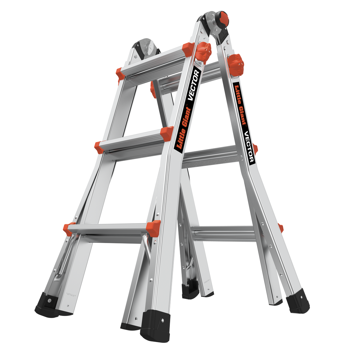 Vector