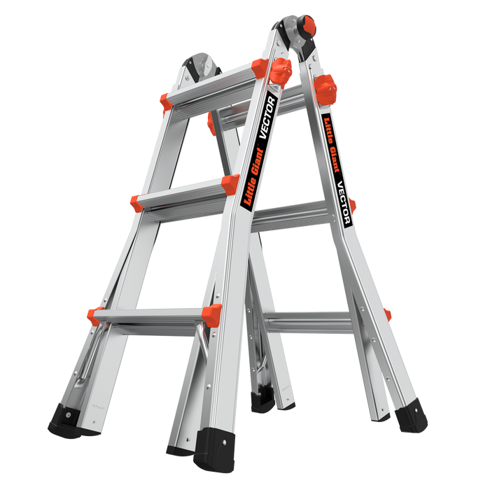 Vector