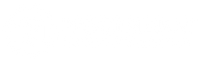 Northern tool logo
